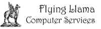 flying llama computers